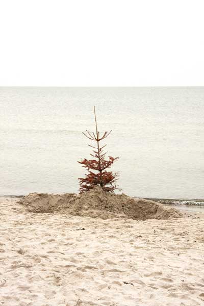 Ostsee, Prerow, KOINZIDENZ FOTOGRAFIE Ria Siegert, Größe variabel z.B. Abzug auf 20 x 30 cm, Kodakfotopapier